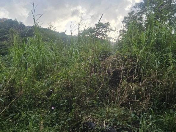 Terrain constructible à vendre à Riviere-Salee - Emplacement privilégié