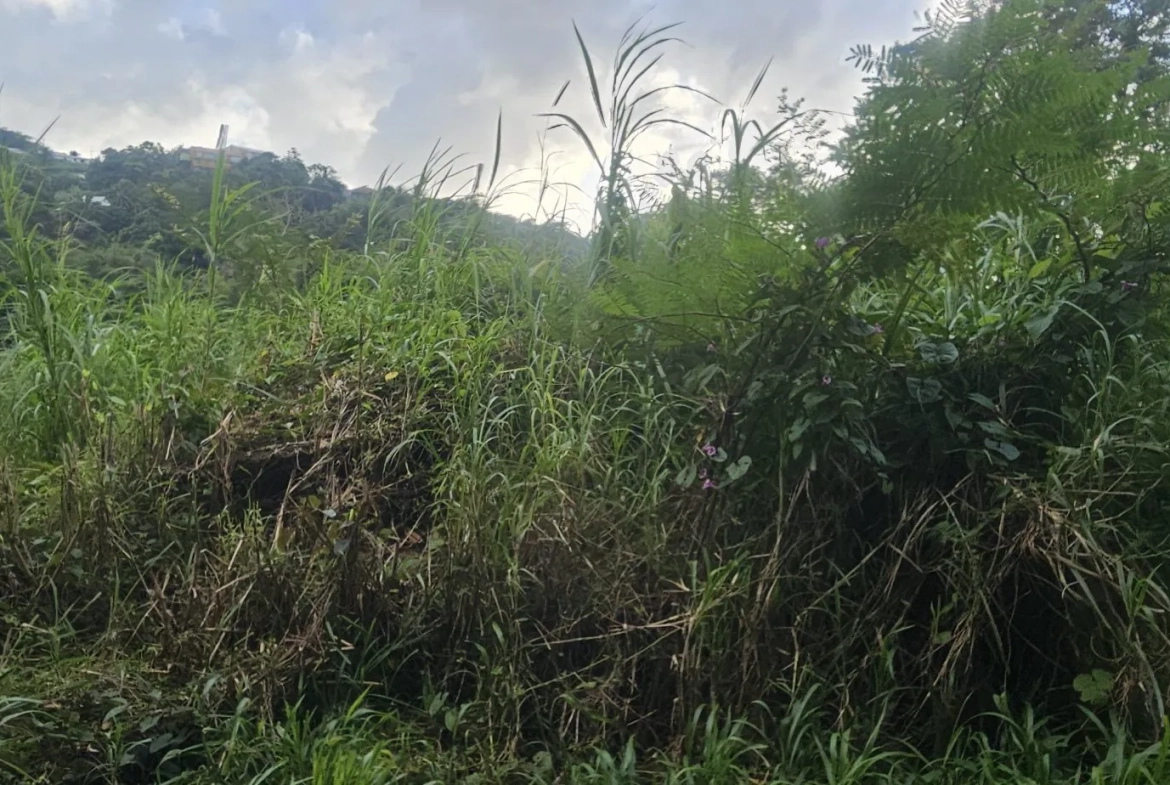 Terrain constructible à vendre à Riviere-Salee - Emplacement privilégié 
