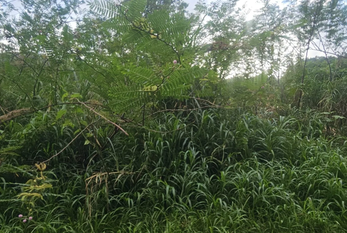 Terrain constructible à vendre à Riviere-Salee - Emplacement privilégié 