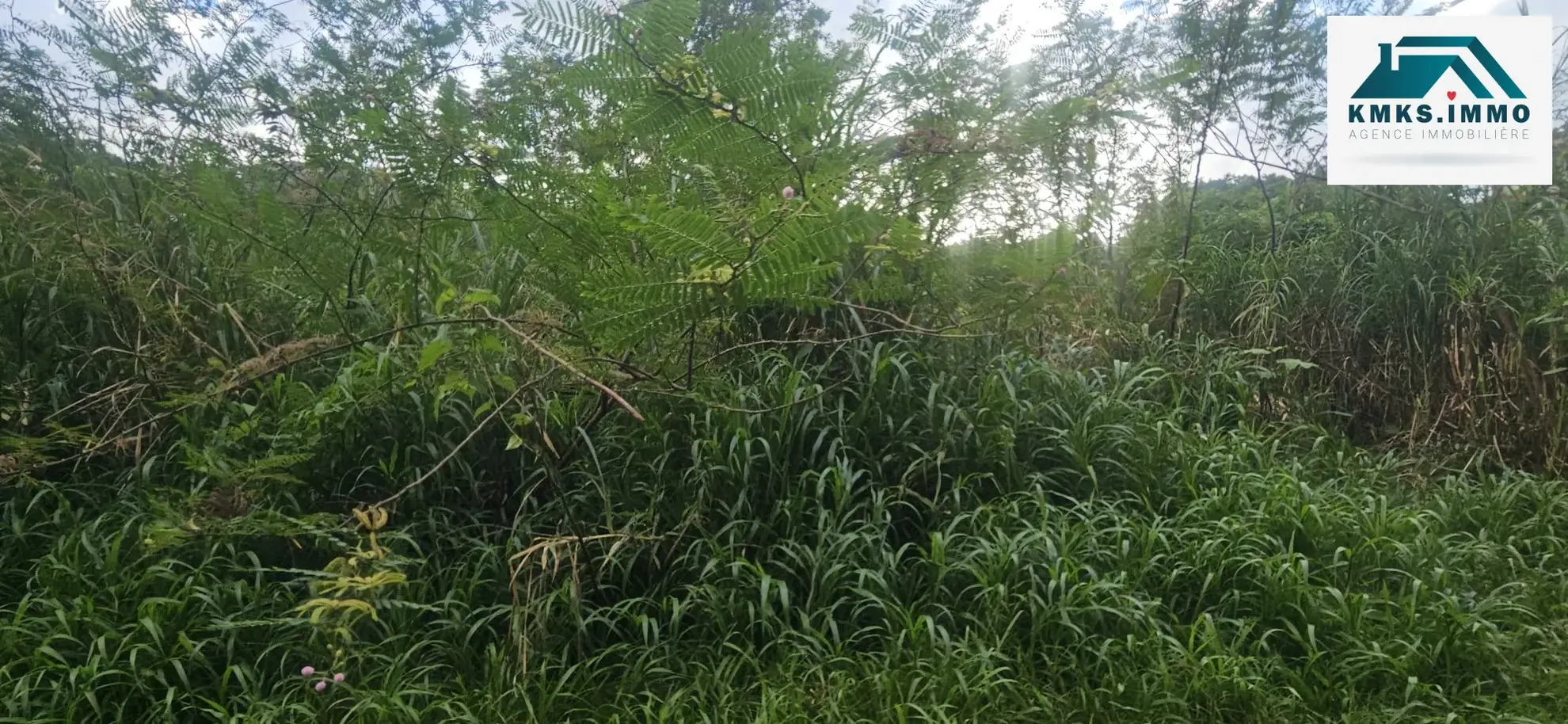 Terrain constructible à vendre à Riviere-Salee - Emplacement privilégié 