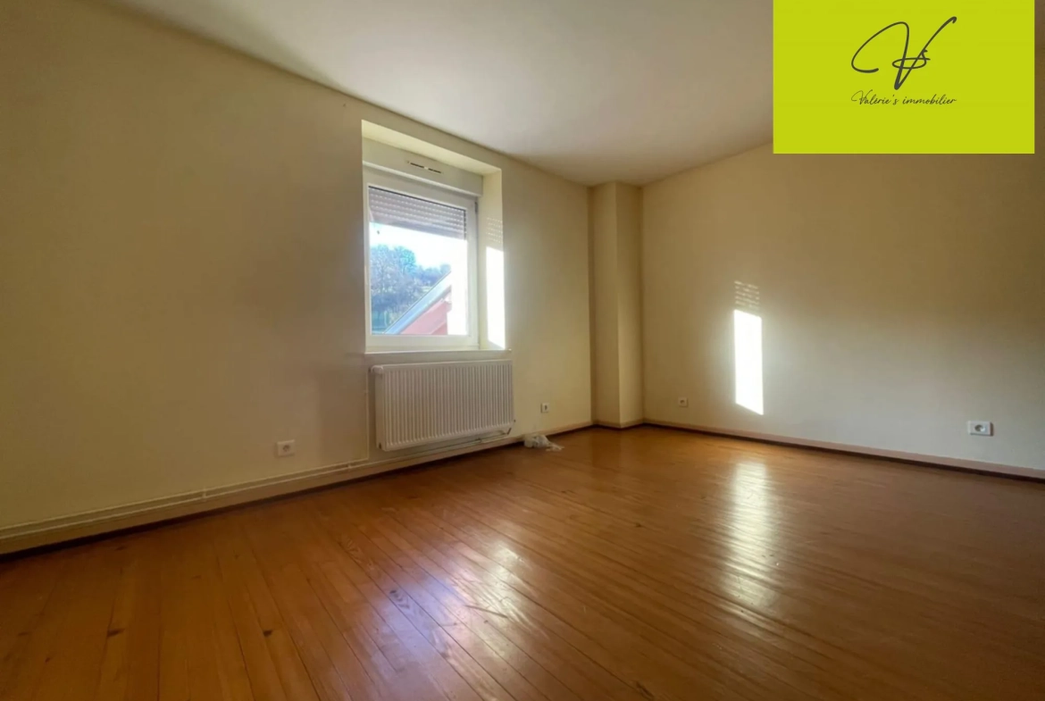 Belle maison de 170 m² à Laneuveville-Les-Lorquin avec deux habitations 