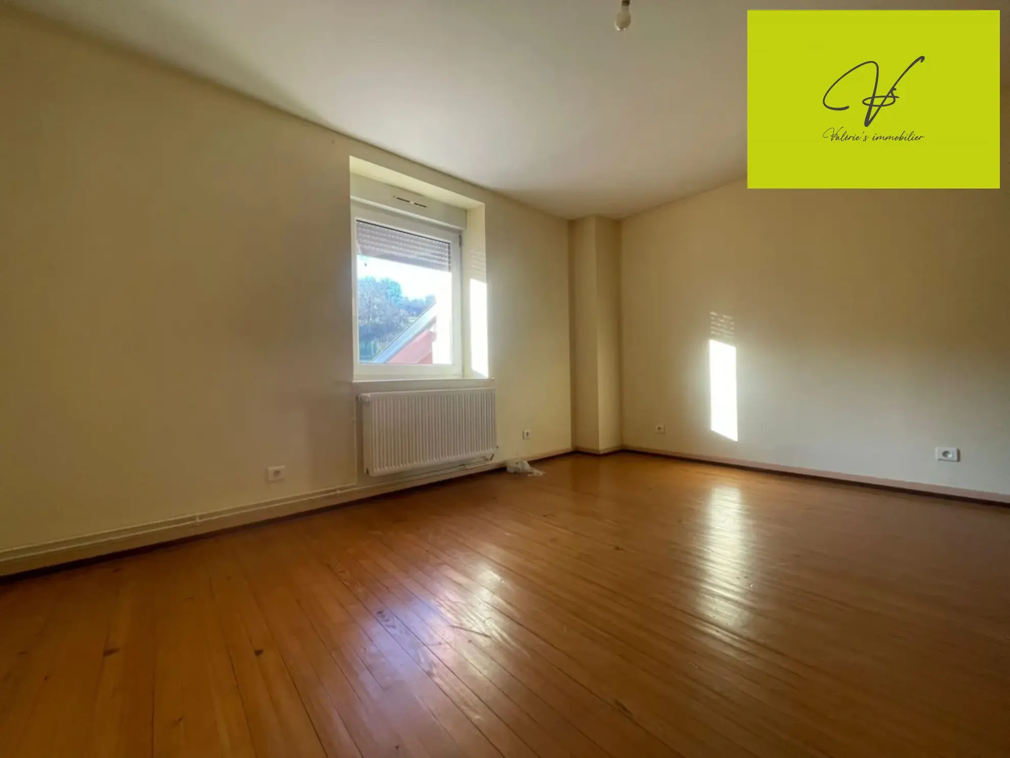 Belle maison de 170 m² à Laneuveville-Les-Lorquin avec deux habitations 