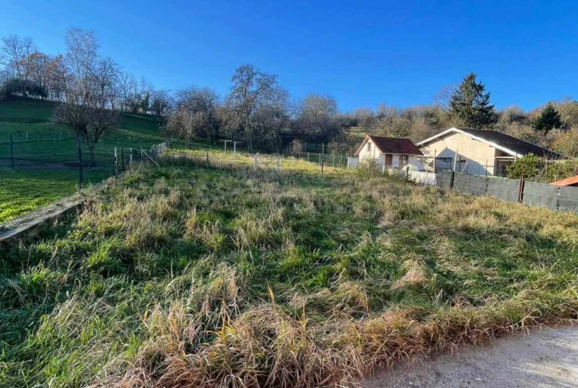 Belle maison de 170 m² à Laneuveville-Les-Lorquin avec deux habitations 