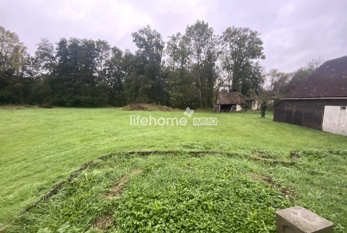 Maison ancienne à vendre à Vicq-sur-Nahon en Indre, 115 m² avec terrain de 8000 m² 