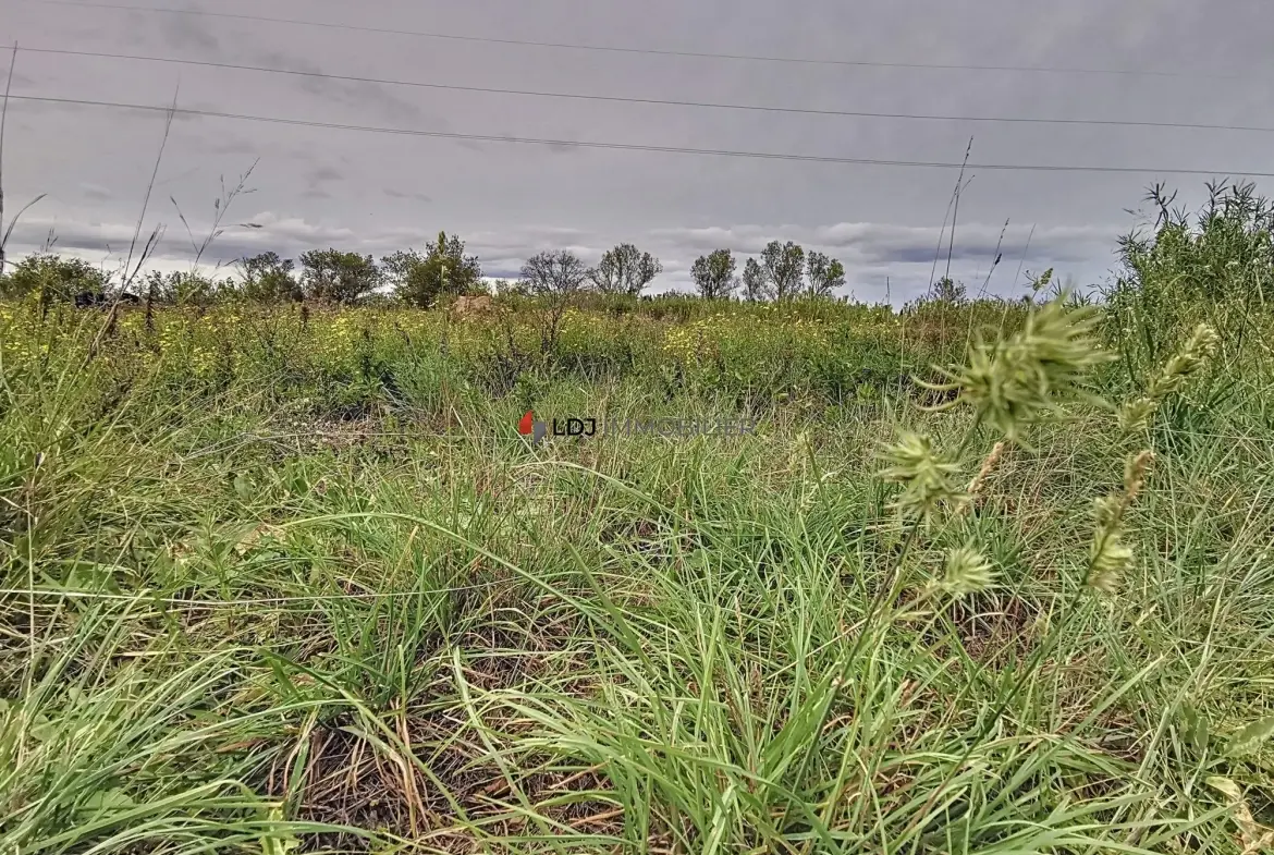 Terrain agricole ou de loisir de 9613 m² à Villeneuve-de-la-Raho 