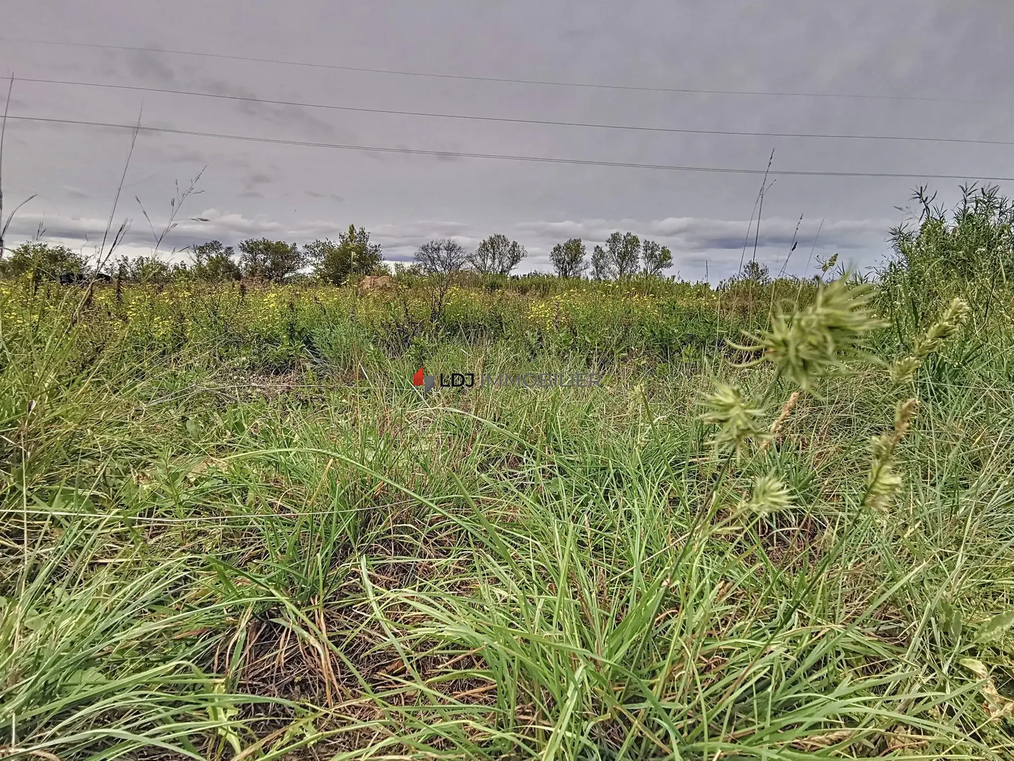 Terrain agricole ou de loisir de 9613 m² à Villeneuve-de-la-Raho 