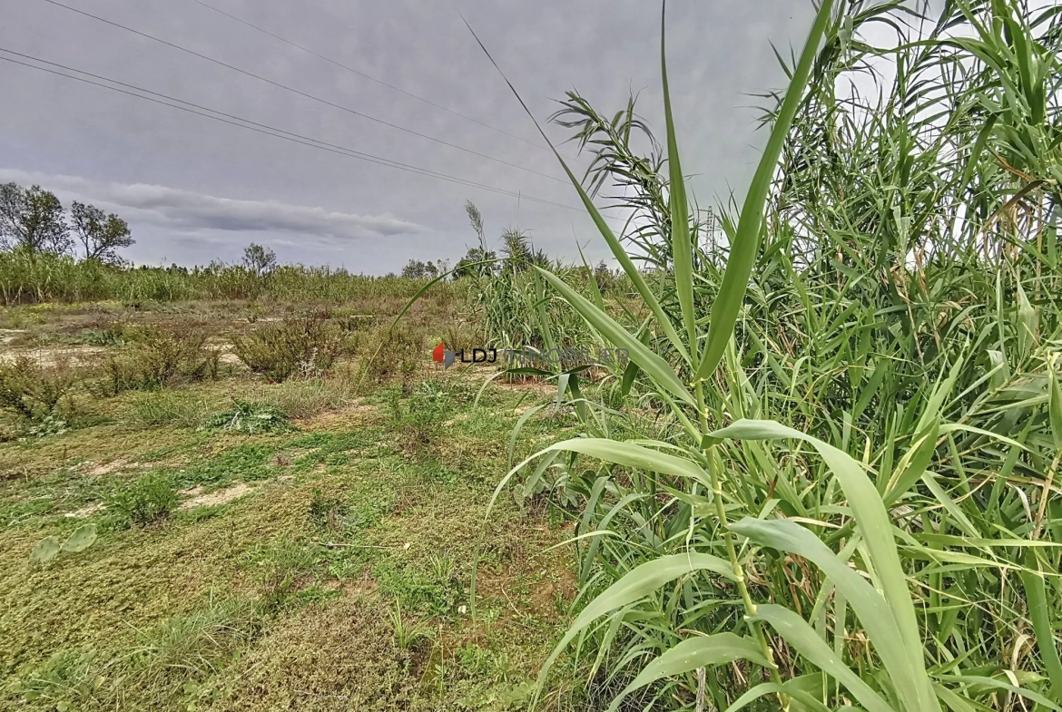 Terrain agricole ou de loisir de 9613 m² à Villeneuve-de-la-Raho 