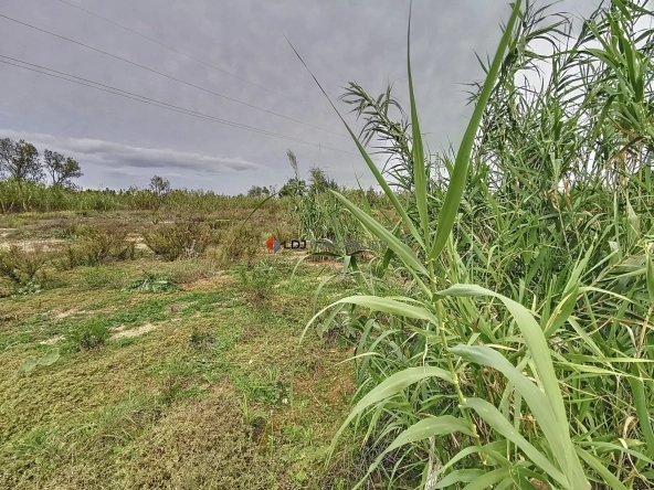 Terrain agricole ou de loisir de 9613 m² à Villeneuve-de-la-Raho