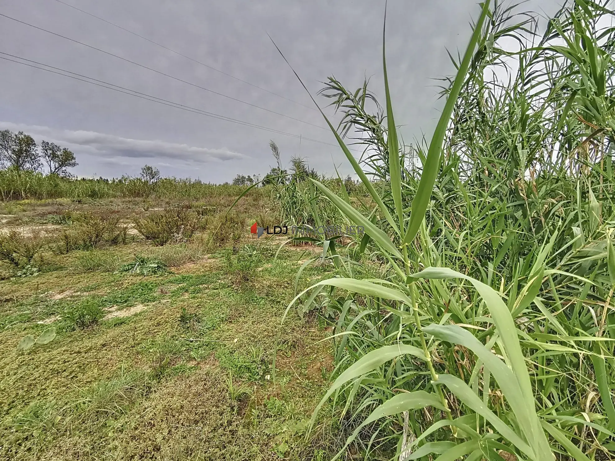 Terrain agricole ou de loisir de 9613 m² à Villeneuve-de-la-Raho 