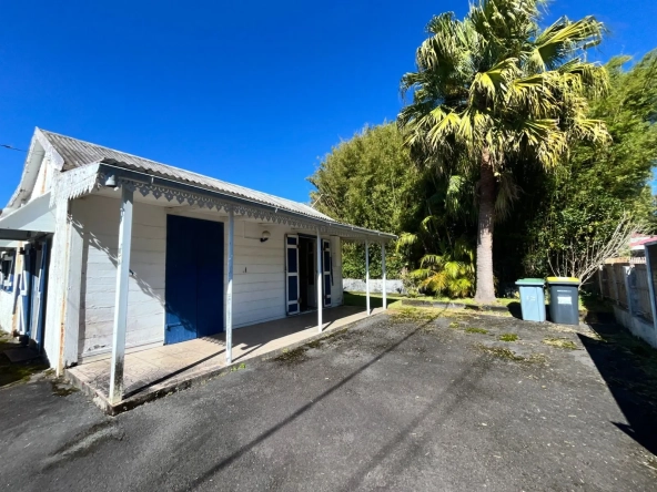 Maison F4/5 avec jardin et dépendance à La Plaine des Palmistes