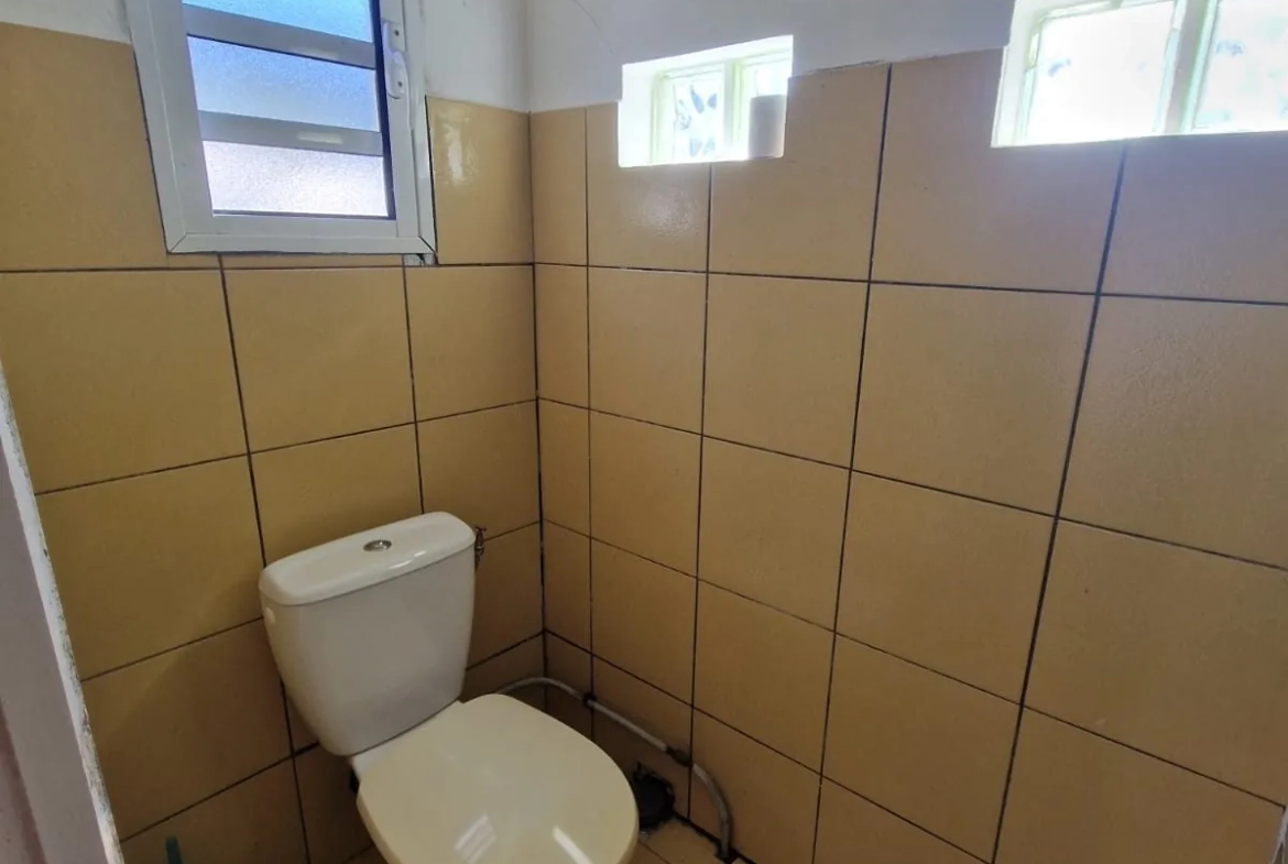 Maison F4/5 avec jardin et dépendance à La Plaine des Palmistes 