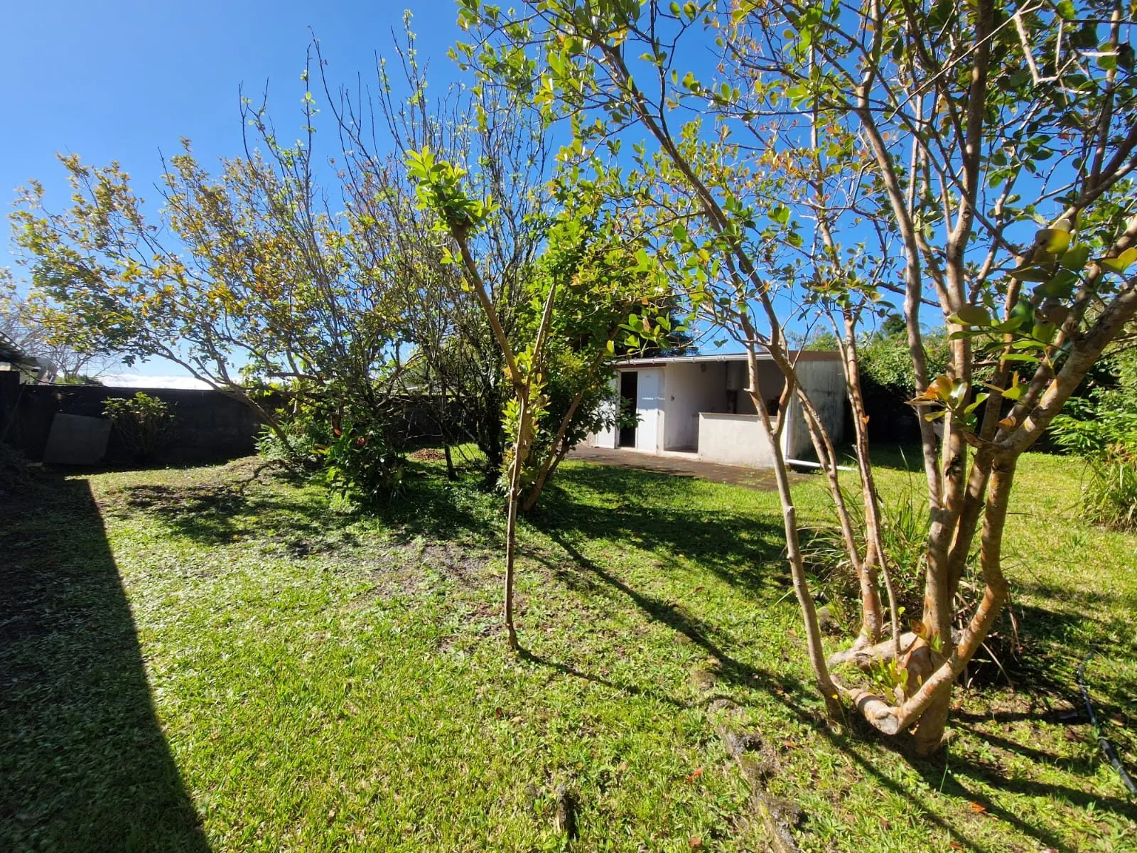 Maison F4/5 avec jardin et dépendance à La Plaine des Palmistes 