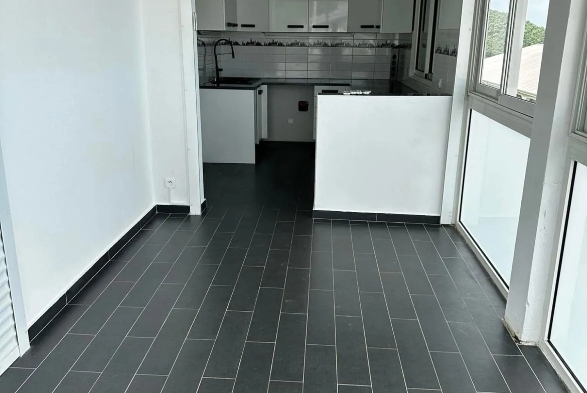 Appartement T2 avec jardin et vue mer à Saint-Martin - Perfect pour investissement ou résidence 