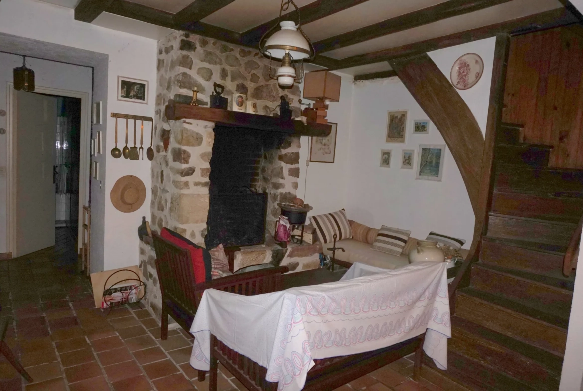 Deux maisons à vendre à Semelay sur un terrain de 377 m², avec jardin et cave 