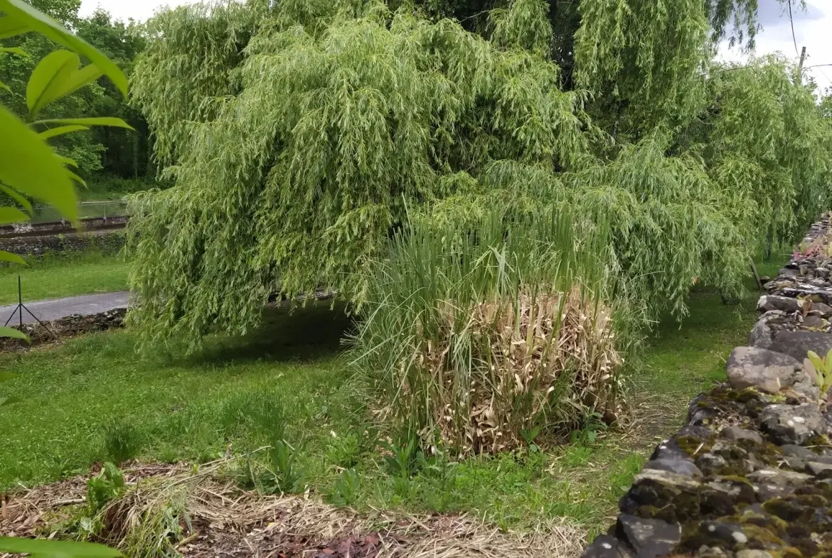 Maison T3 Louée avec Jardin à Oloron-Sainte-Marie - Investissement Locatif Rente 