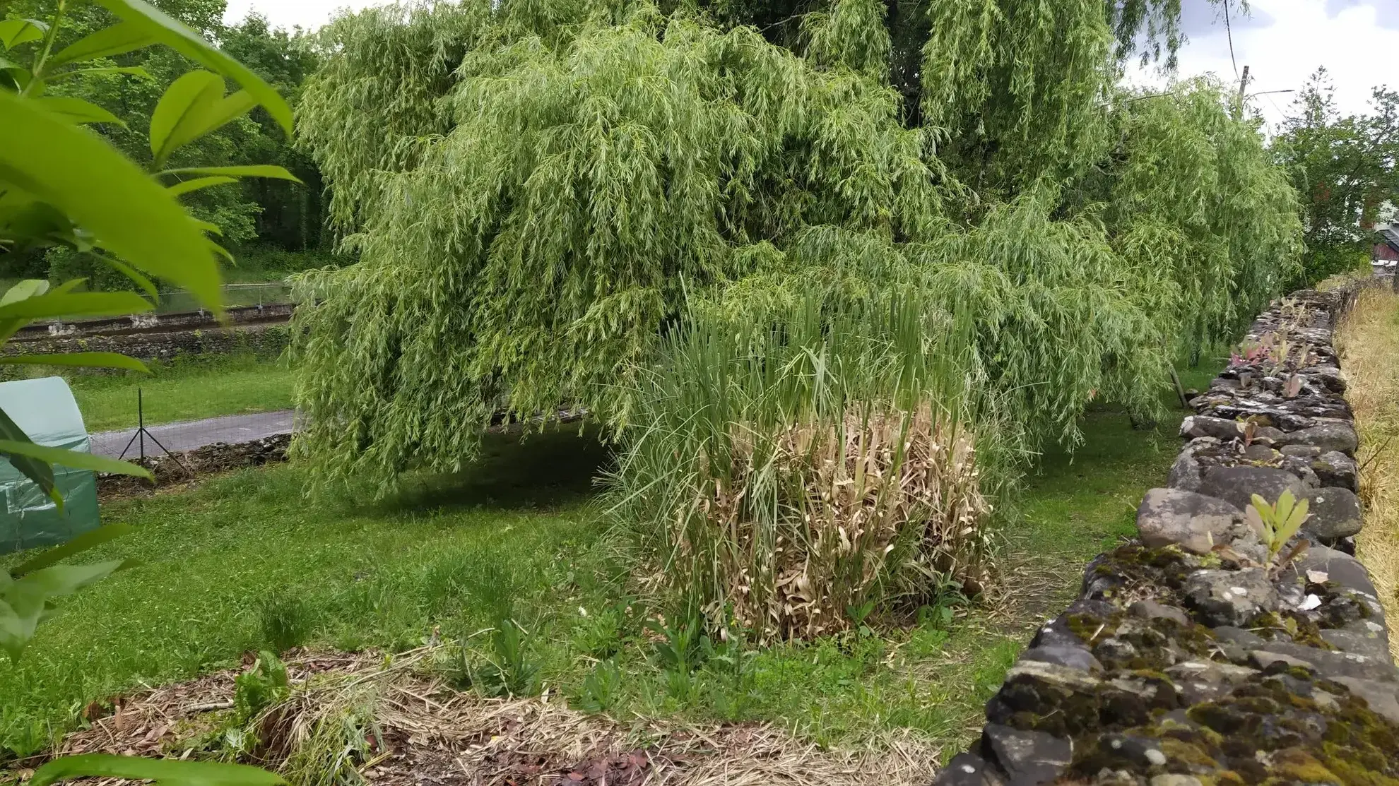 Maison T3 Louée avec Jardin à Oloron-Sainte-Marie - Investissement Locatif Rente 