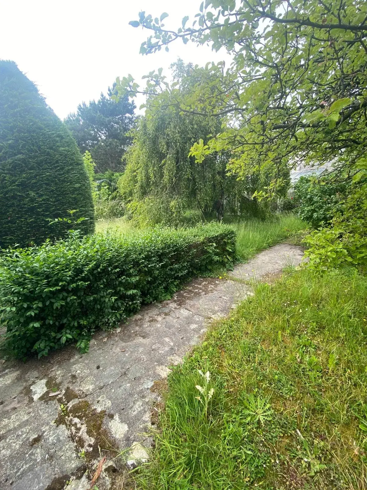 Terrain à bâtir de 532 m² à Coulogne, façade de 15,86 m, viabilisé 