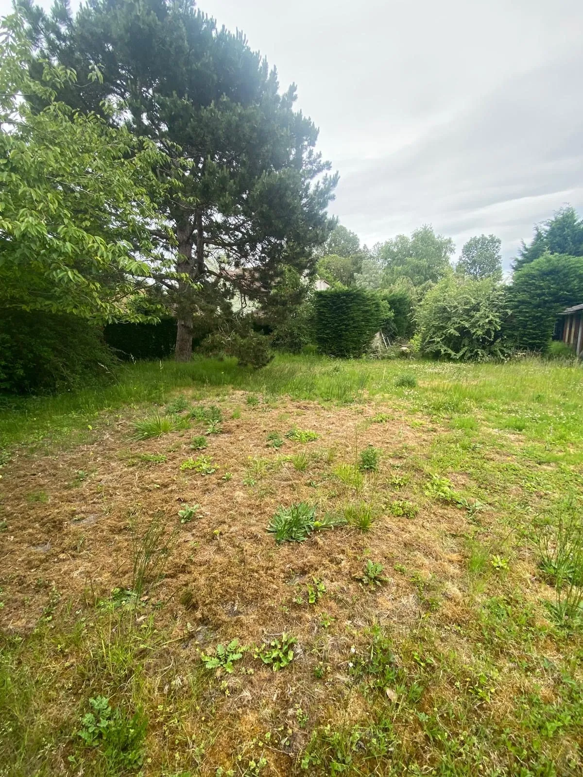 Terrain à bâtir de 532 m² à Coulogne, façade de 15,86 m, viabilisé 