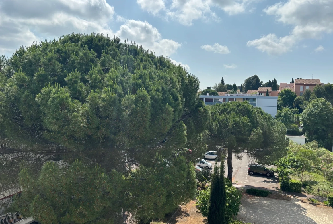 Appartement 3 pièces à vendre à Montpellier, 74 m² avec terrasse et parking 