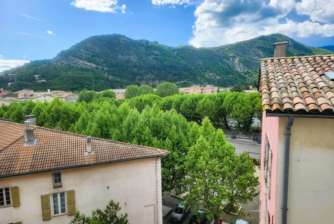 Appartement T2 à rénover en Centre-Ville de Digne-les-Bains avec Potentiel de Rentabilité 