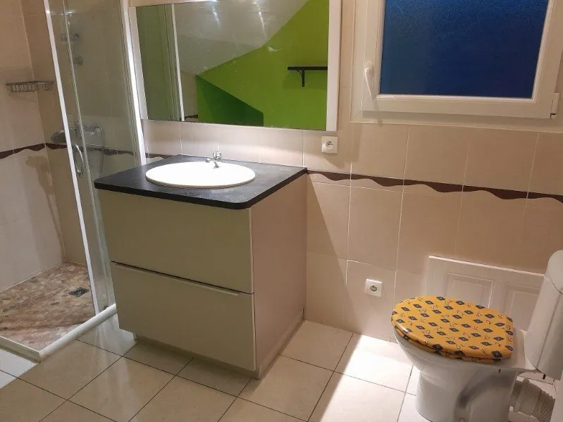 SALLE D EAU ET WC Charmante maison de ville rénovée avec véranda à Loudun 