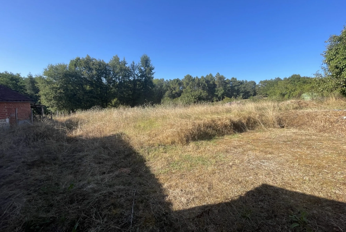 Maison en pierre à rénover à Négrondes, 1100 m² de terrain - Périgord Vert 
