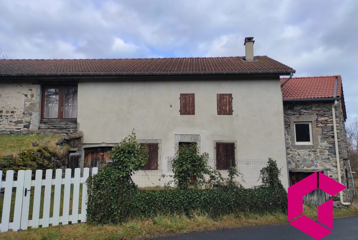 Ancienne ferme en pierres à rénover à Saint-Julien-du-Pinet - 60 m² 