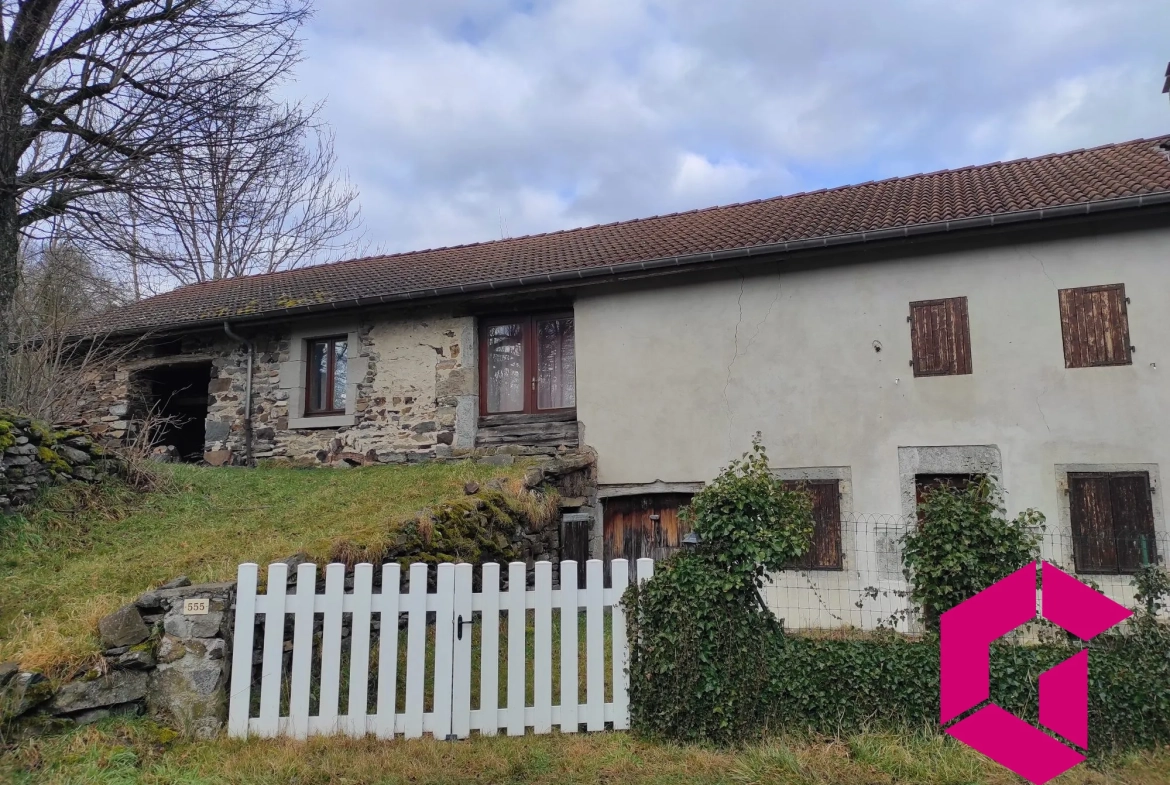 Ancienne ferme en pierres à rénover à Saint-Julien-du-Pinet - 60 m² 