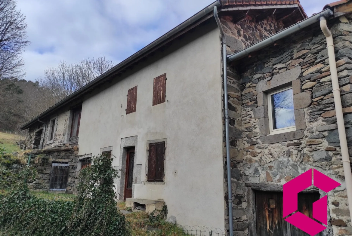 Ancienne ferme en pierres à rénover à Saint-Julien-du-Pinet - 60 m² 