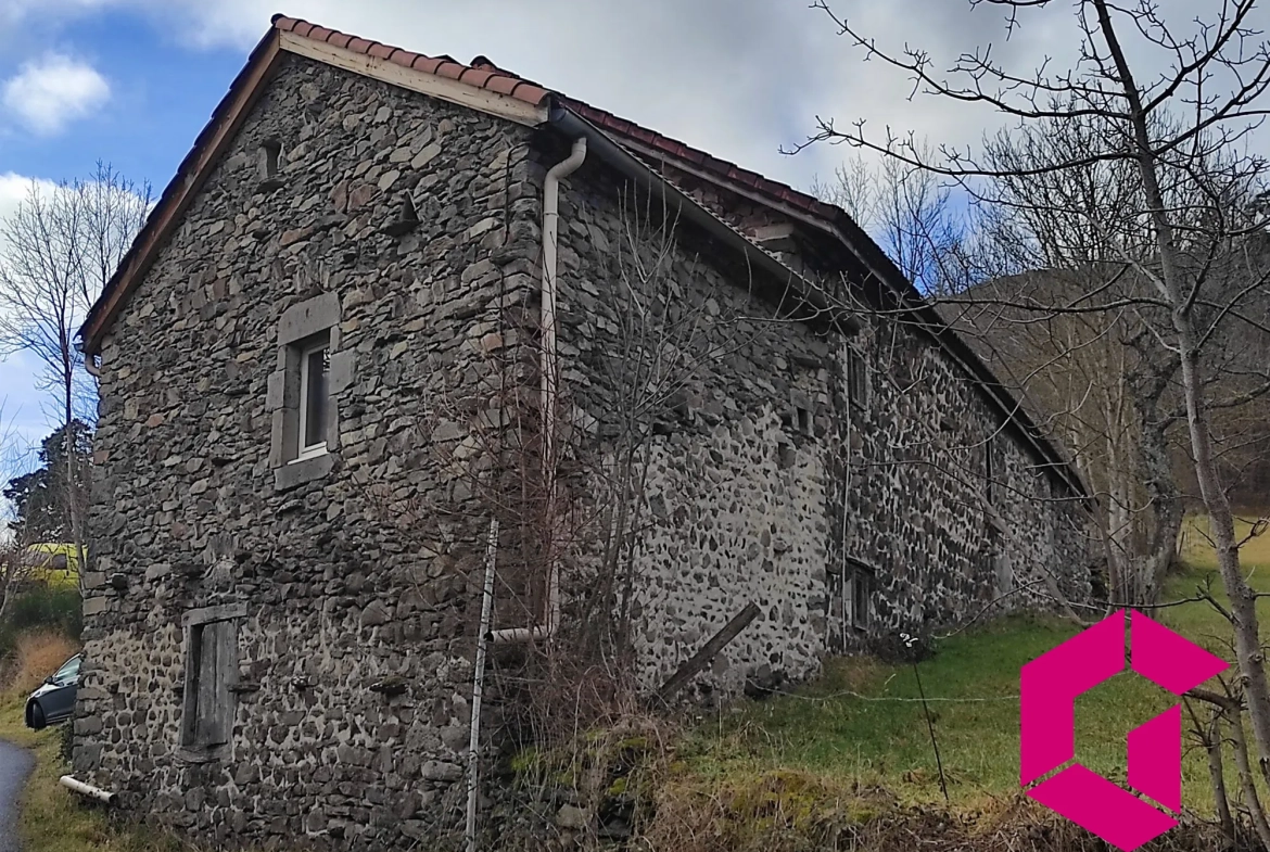 Ancienne ferme en pierres à rénover à Saint-Julien-du-Pinet - 60 m² 
