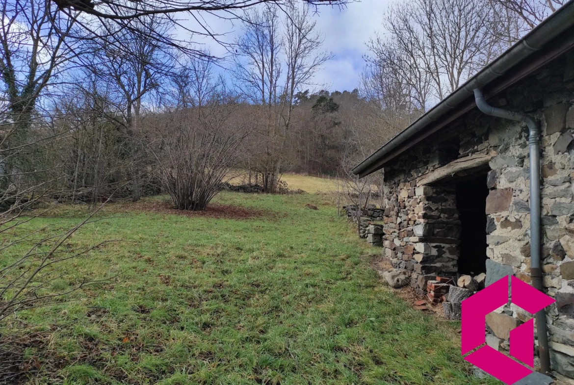 Ancienne ferme en pierres à rénover à Saint-Julien-du-Pinet - 60 m² 