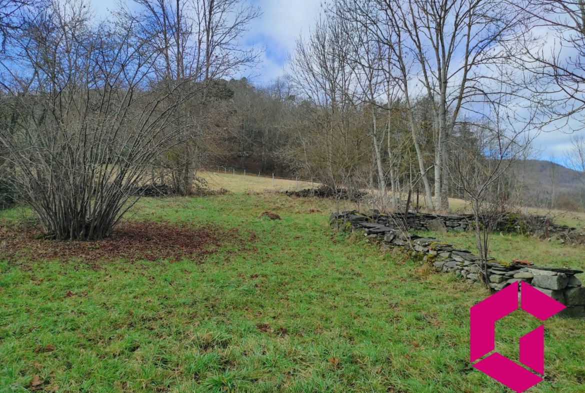 Ancienne ferme en pierres à rénover à Saint-Julien-du-Pinet - 60 m² 