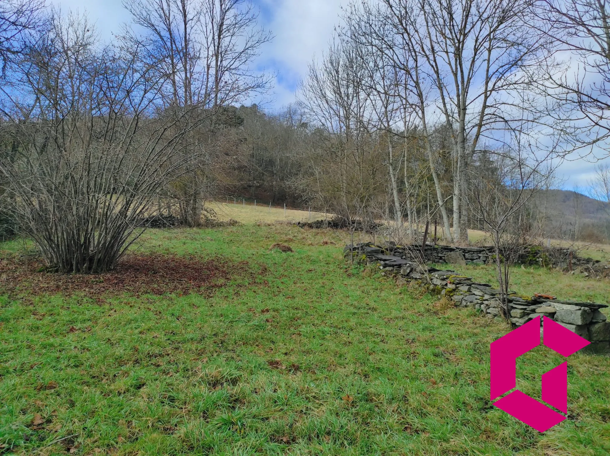 Ancienne ferme en pierres à rénover à Saint-Julien-du-Pinet - 60 m² 