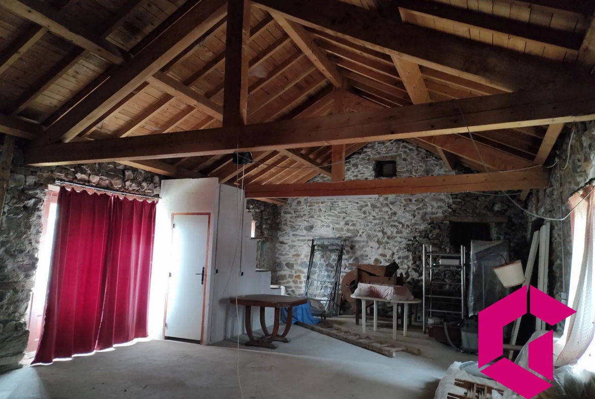 Ancienne ferme en pierres à rénover à Saint-Julien-du-Pinet - 60 m² 