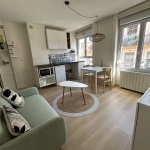 Appartement meublé de 29 m² à Lyon 7 dans le quartier Guillotière