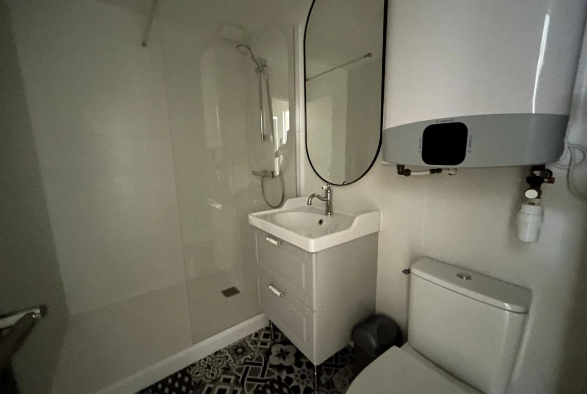 Appartement meublé de 29 m² à Lyon 7 dans le quartier Guillotière 