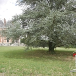 Plateau à aménager de 85 m² avec jardin et parking près de La Flèche