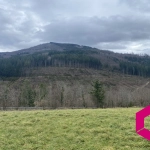 Terrain à vendre à Vollore-Ville - Plus de 6000 m² avec vue sur la Montagne du Chignore