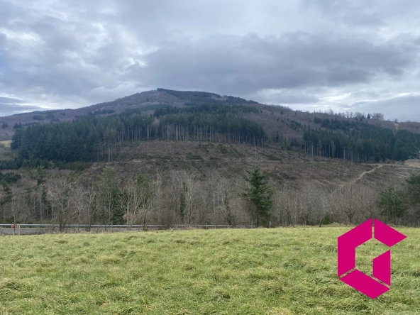 Terrain à vendre à Vollore-Ville - Plus de 6000 m² avec vue sur la Montagne du Chignore