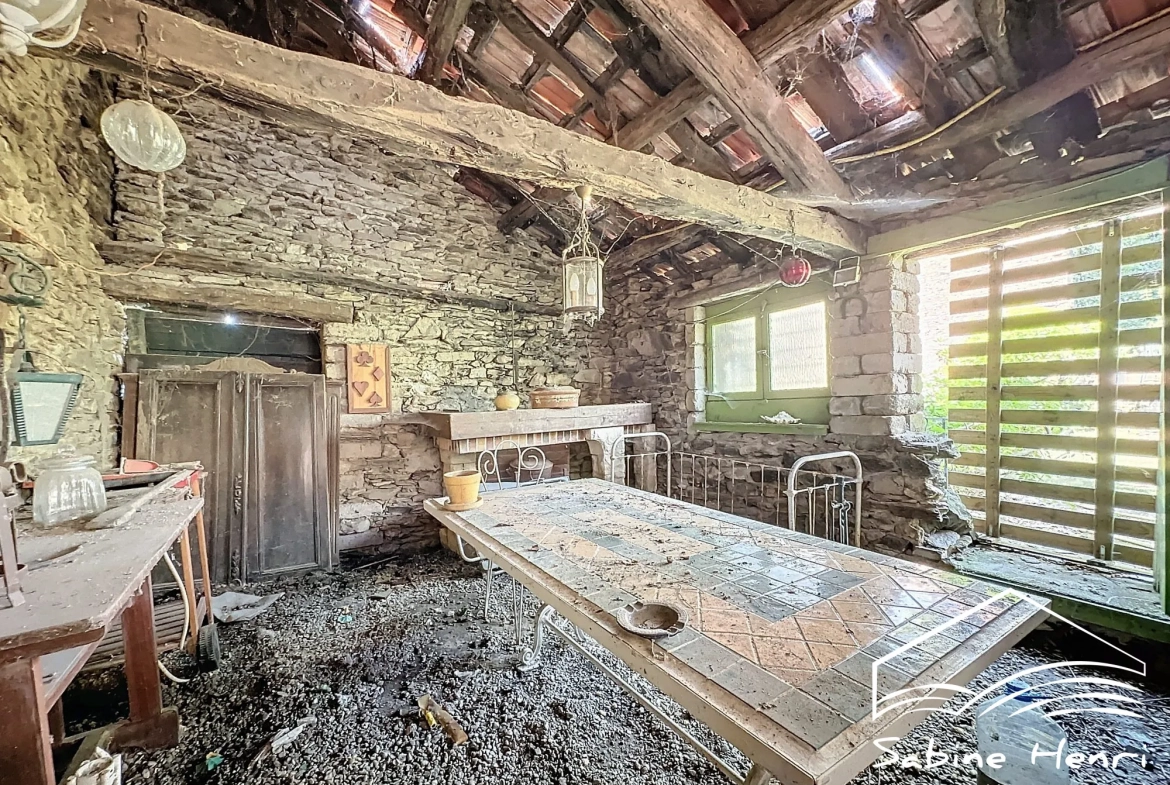 Belle maison de campagne à Séré­nac avec jardin, piscine et dépendance à rénover 