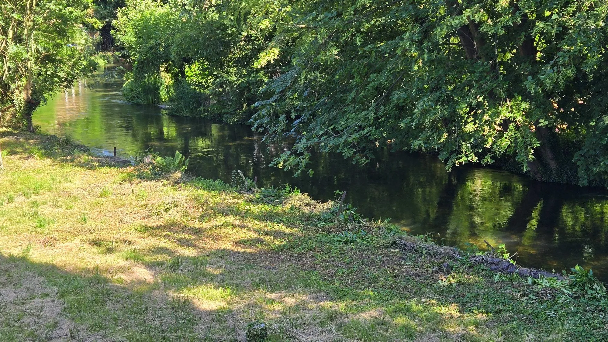 Terrain constructible de 500 m² à Plobsheim en exclusivité 