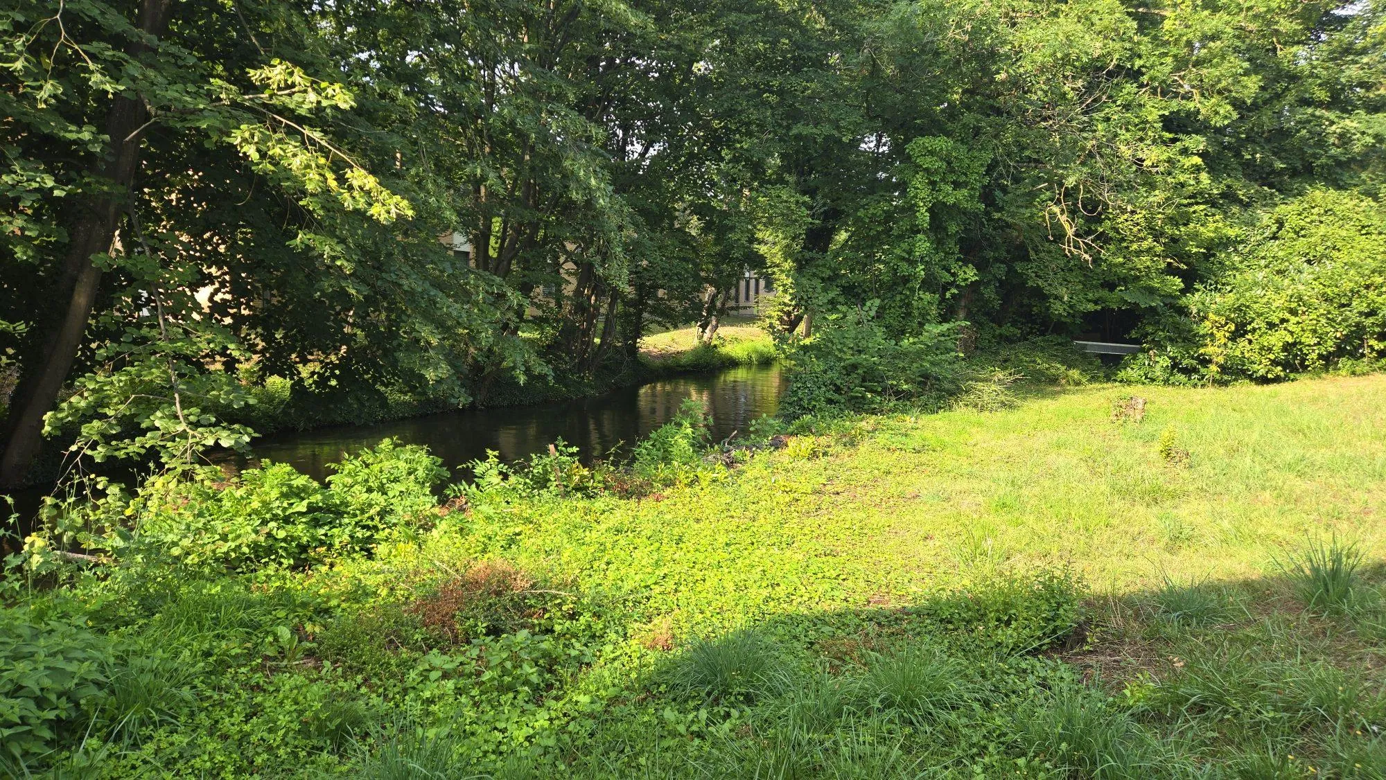 Terrain constructible de 500 m² à Plobsheim en exclusivité 