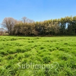Terrain constructible de 2 700 m² à Grand Champ près de Vannes
