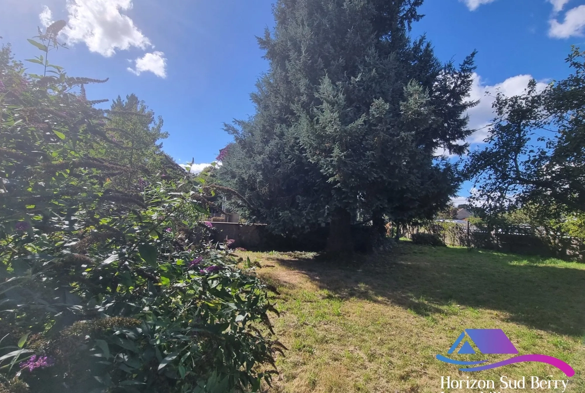 Jardin Maison à rénover avec grand terrain à Aigurande, proche du centre-ville 