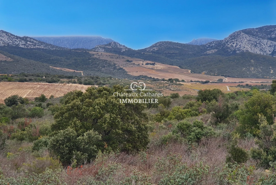 Terrains agricoles à vendre à Lesquerde et Maury, 31187 m² 
