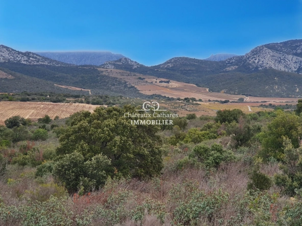 Terrains agricoles à vendre à Lesquerde et Maury, 31187 m²