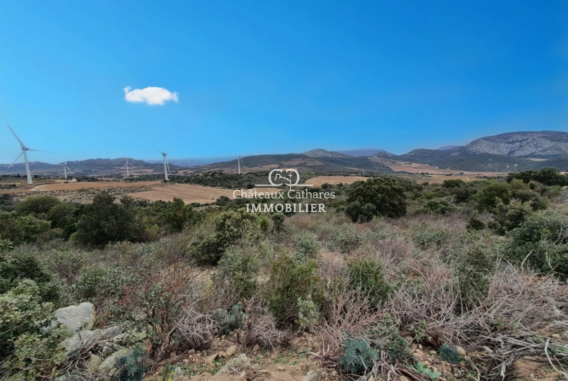 Terrains agricoles à vendre à Lesquerde et Maury, 31187 m² 