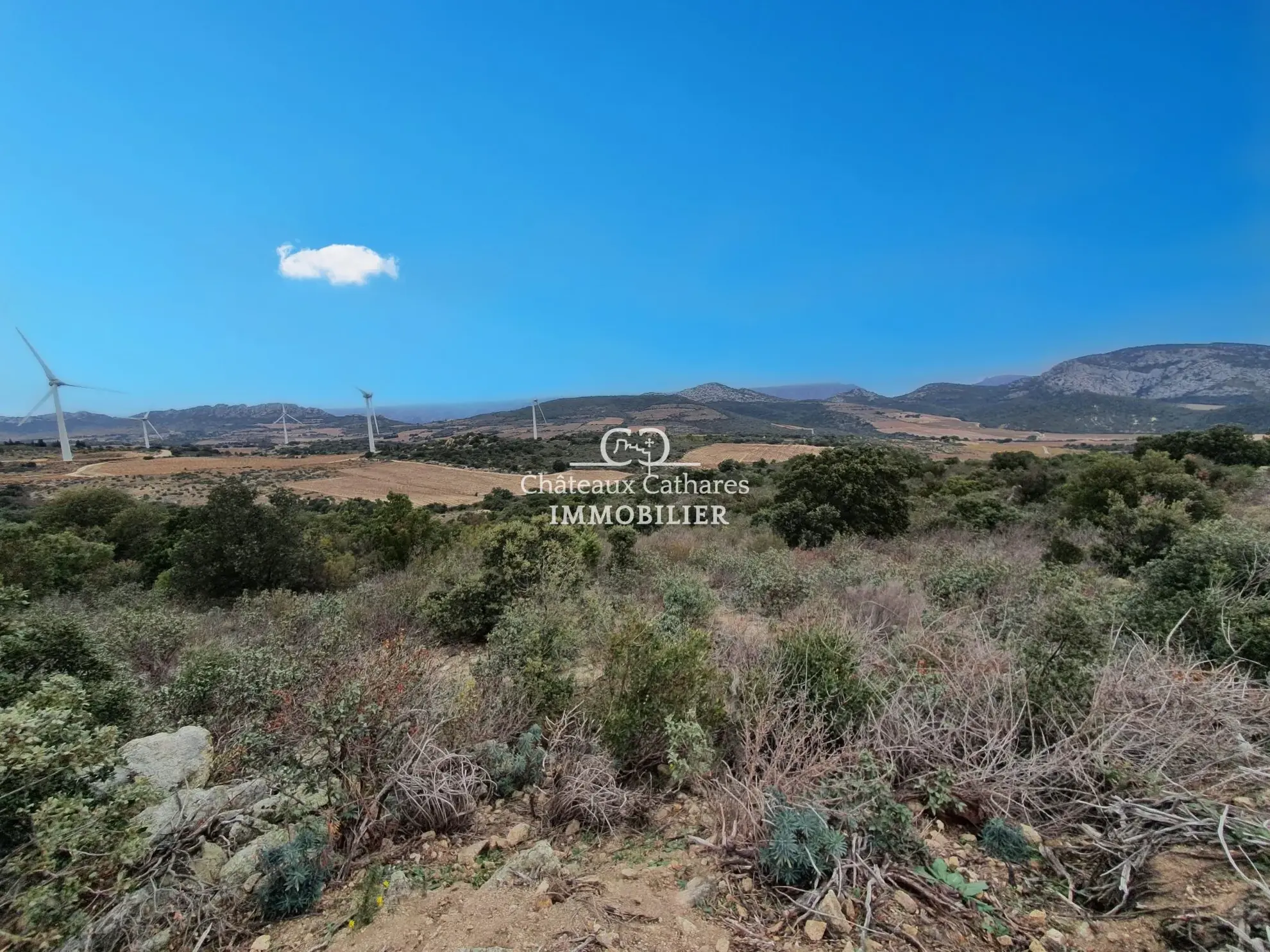 Terrains agricoles à vendre à Lesquerde et Maury, 31187 m² 