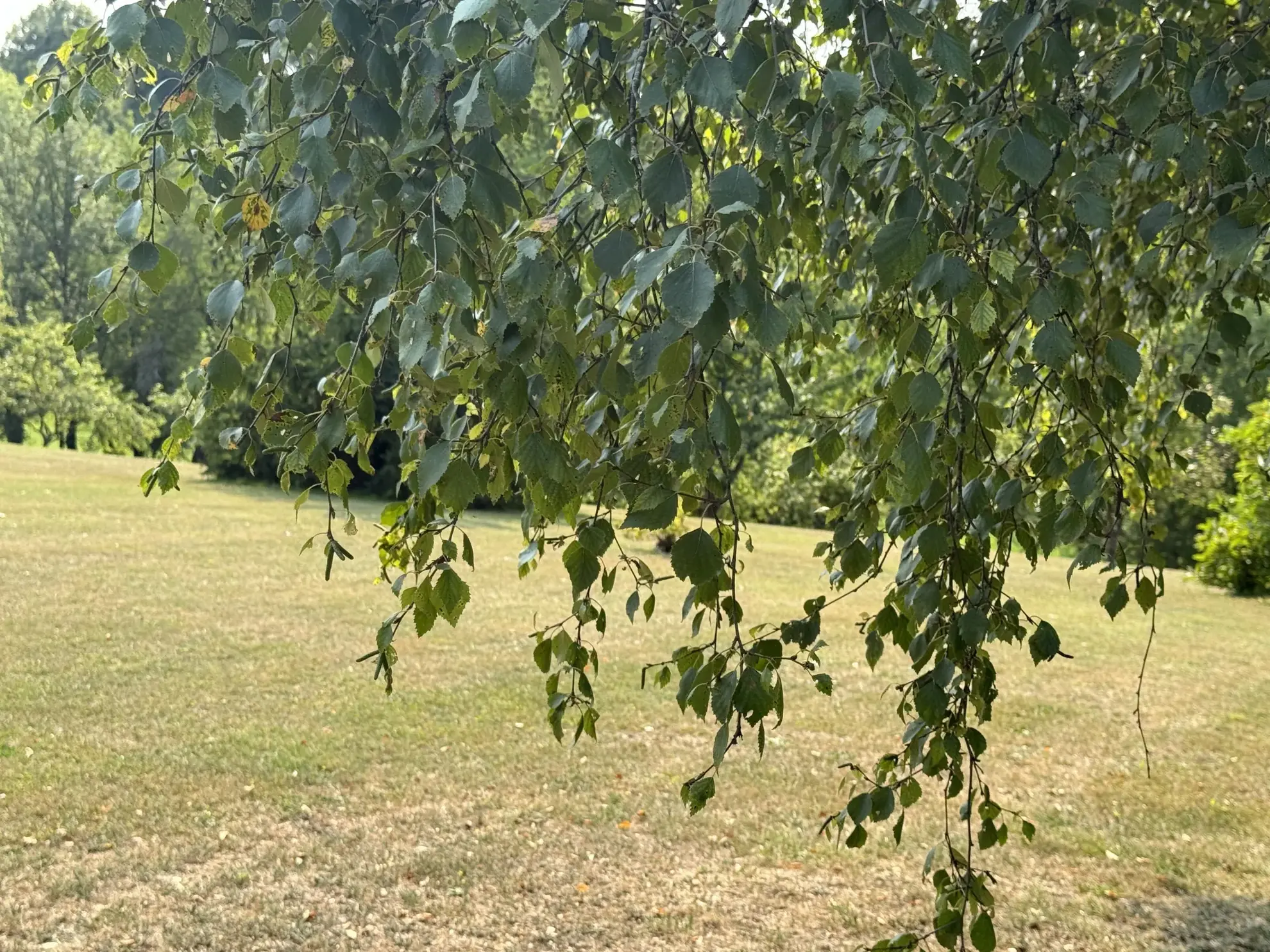 Maison familiale à vendre près de Livarot avec grand parc et vie de plain-pied 