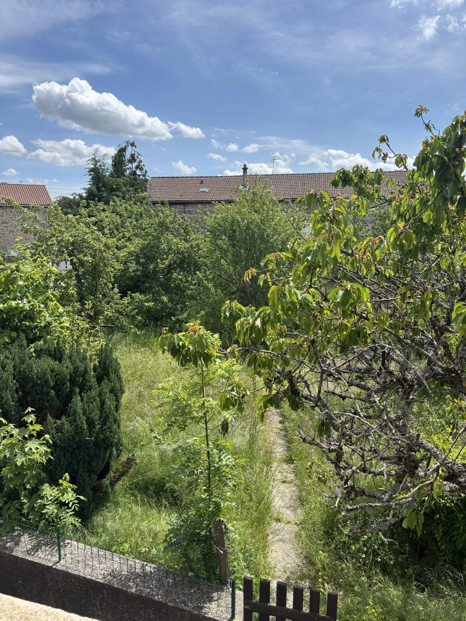 Maison ancienne à rénover avec jardin à Sainte-Sigolène 140 m² 